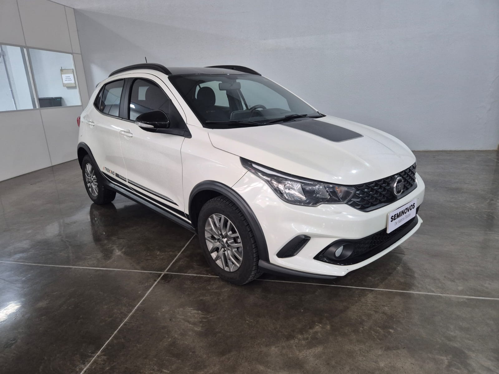 ARGO TREKKING 1.3 8V FLEX  