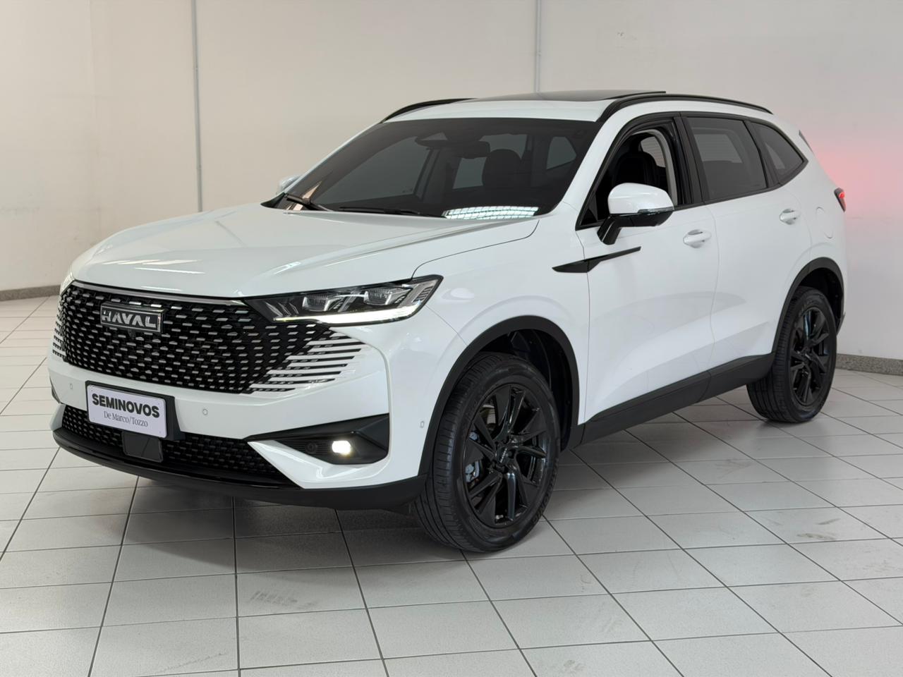 HAVAL  HEV2